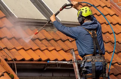 Démoussage et hydrofuge de toiture à Cros-de-Géorand